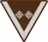 … Hauptvormann