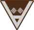 13 Untertruppführer
