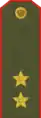 Heer – Uniform Grundform, Russische Streitkräfte 1994–2010