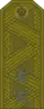 Felddienstanzug, Russische Streitkräfte 1994–2010.