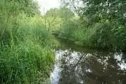 Verbindung vom Carwitzer See zum Dreetzsee