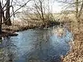 Einmündung der Gösebek in den Kleinen Pönitzer See