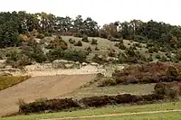 Naturschutzgebiet la Pelouse de la côte de l’étang oberhalb der Weinreben
