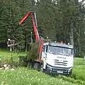 Moderner ROMAN-Lastwagen in der Forstwirtschaft (2014)