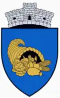 Wappen von Rădești (Alba)