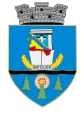 Wappen von Beiuș
