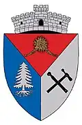 Wappen von Maieru