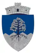 Wappen von Telciu
