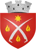 Wappen von Flămânzi