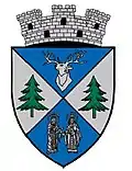 Wappen von Nehoiu