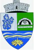 Wappen von Eftimie Murgu (Caraș-Severin)
