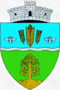 Wappen von Naidăș