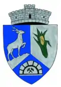 Wappen von Sasca Montană