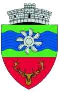 Wappen von Văliug