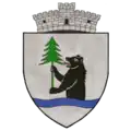 Wappen von Brăduț