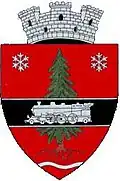 Wappen von Întorsura Buzăului