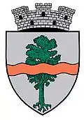 Wappen von Pucioasa