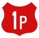 DN1P