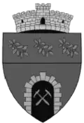 Wappen von Băița (Hunedoara)