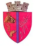 Wappen von Călan