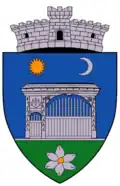 Wappen von Satu Mare (Harghita)
