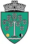Wappen von Acățari