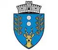 Wappen von Adămuș