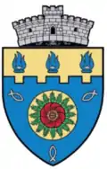 Wappen von Zau de Câmpie