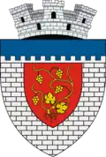 Wappen von Târgu Neamț
