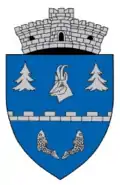 Wappen von Arpașu de Jos