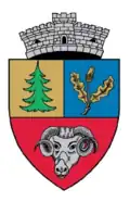 Wappen von Jina (Sibiu)