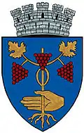 Wappen von Mediaș