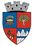 Wappen von Negrești-Oaș