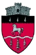 Wappen von Brodina (Suceava)