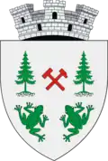 Wappen von Broșteni