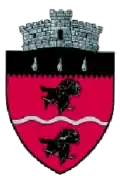 Wappen von Cârlibaba