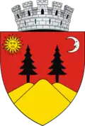 Wappen von Fălticeni
