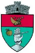 Wappen von Vatra Moldoviței