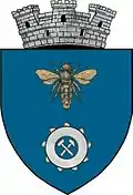 Wappen von Berbești (Vâlcea)