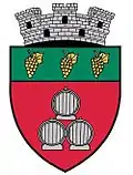 Wappen von Panciu