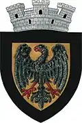 Wappen von Negrești