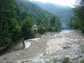 Der Putna