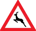 Wildwechsel