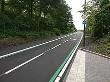 Zu sehen ist eine Asphaltierte Fahrbahn mit grünen und weißen durchgezogenen Linien am Rand und einer gestrichelten Linie in der Mitte, zudem ist links der linken durchgezogenen Linie Platz als Fußweg