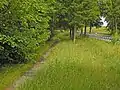 Umgehungsgraben am Ostrand des Kunstteiches