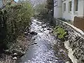 Radau