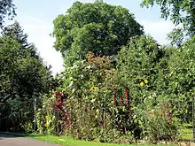 Garten des Zweiseithofs An der Unterführung 5
