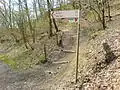 Treppenstufen bei Bülgenauel