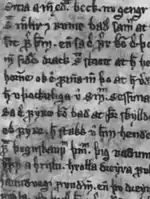 Ausschnitt der Handschrift von Ragnars saga loðbrókar