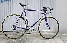 Raleigh Brazil Rennrad